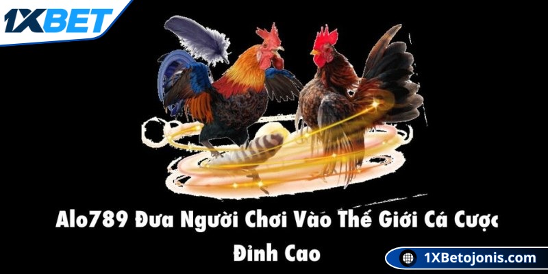Alo789 chính thức ra mắt thị trường vào năm 2015