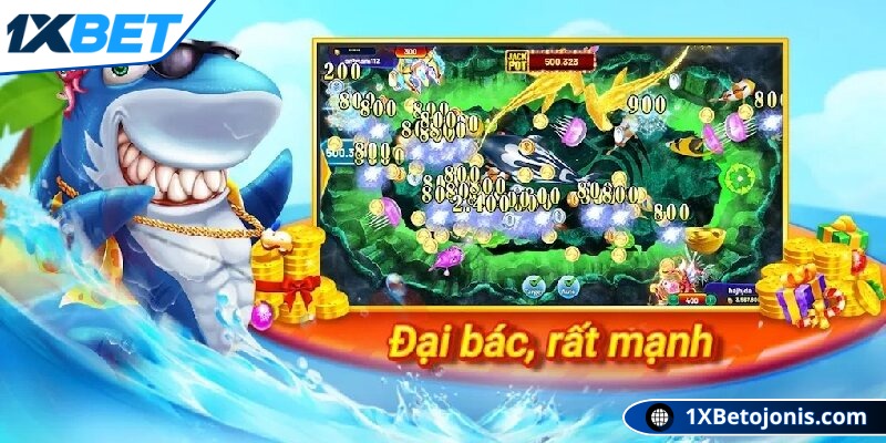 Livestream, video hướng dẫn của cao thủ ăn cá